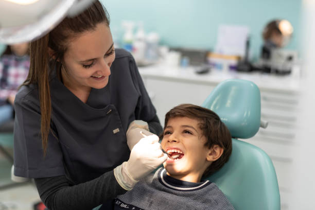 Best Orthodontic Emergency Dentist in New Paleste, IN