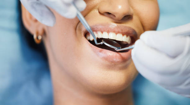 Best Orthodontic Emergency Dentist in New Paleste, IN